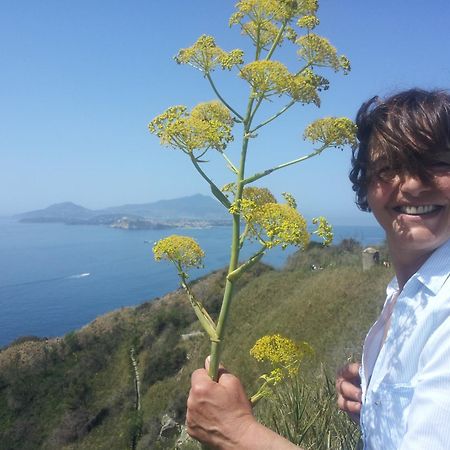 Mary'S Dream - Villa Overlooking Capri And Ischia In Sorrento Peninsula มัสซาลูเบรนเซ ภายนอก รูปภาพ